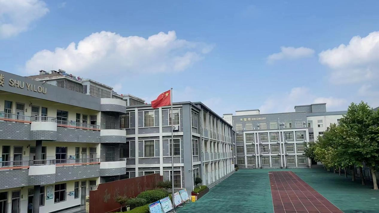 图片1