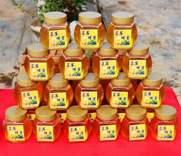 W020231229339903464978