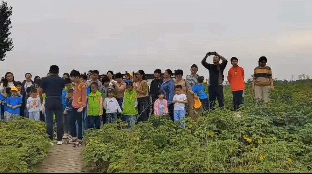 微信图片_20231005142552_副本