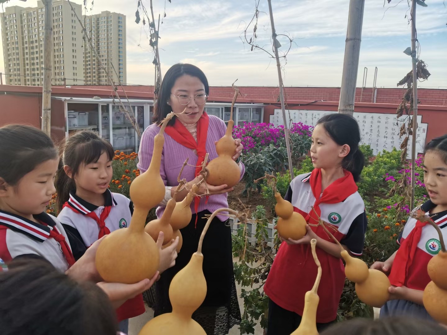 2022年丰收节带领学生采摘葫芦并开展劳动教育