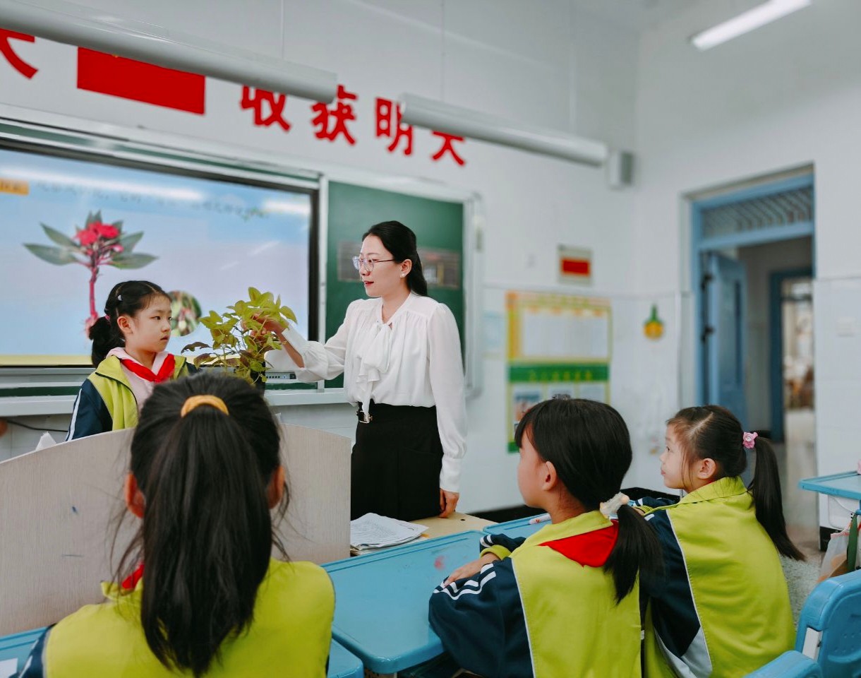 科学课上“认识植物的身体”