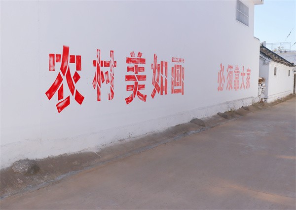 W020231117582418179846