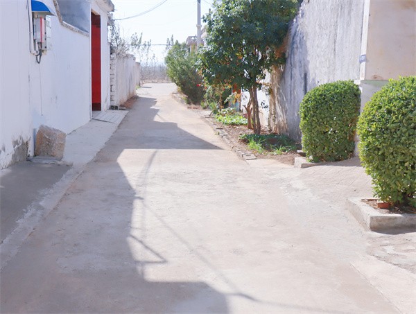 W020231117587139030302