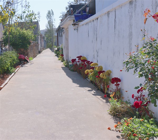 W020231117582418143869