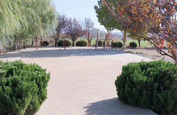 W020231117582418193919