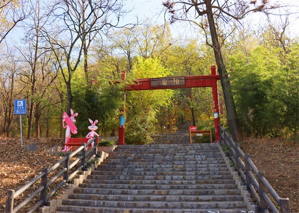 W020231206589529089555