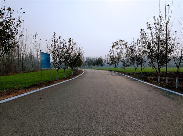 W020231208469311839522