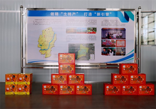 W020231206540673080465