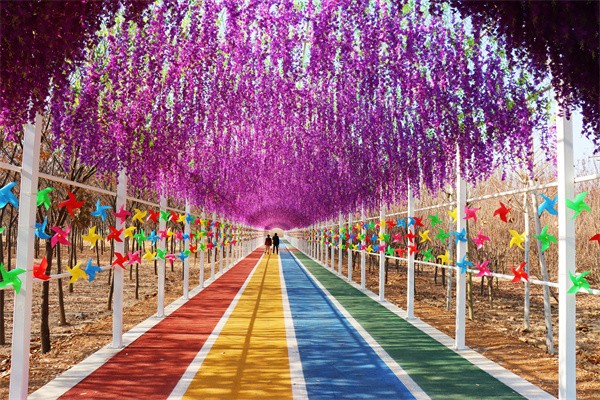 W020231209681538763108