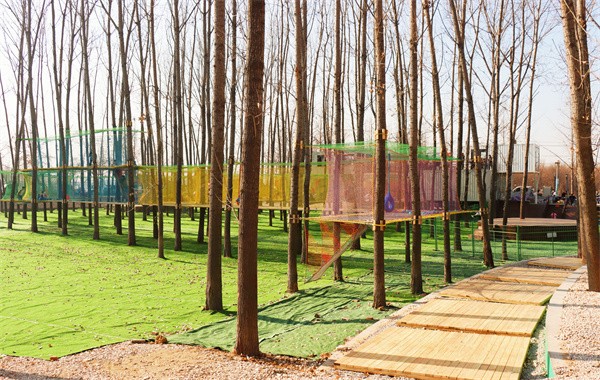 W020231209681538743075