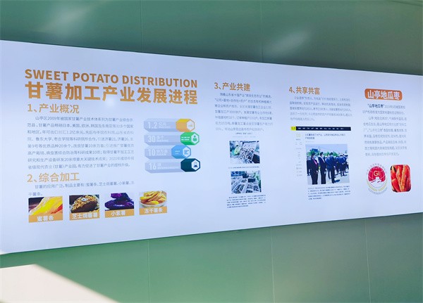 W020231202614955188493