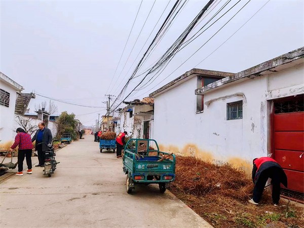 W020231213535371636127