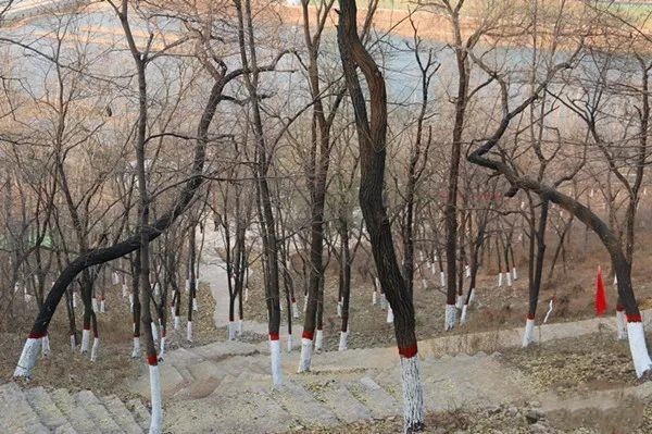 W020231215571620837426