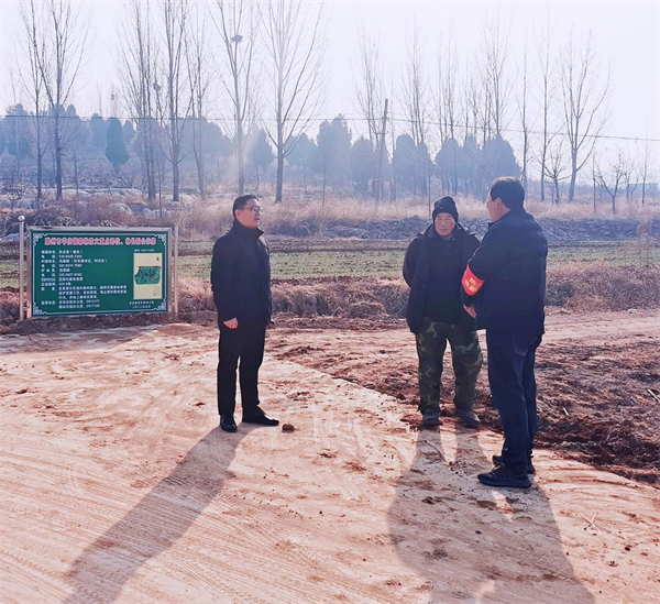 W020231222533018452663