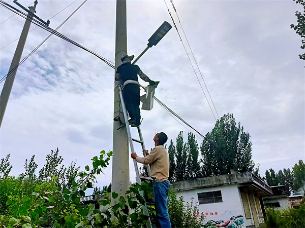 W020231219487186768952