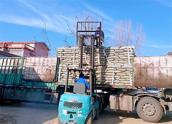 W020231219487186739318