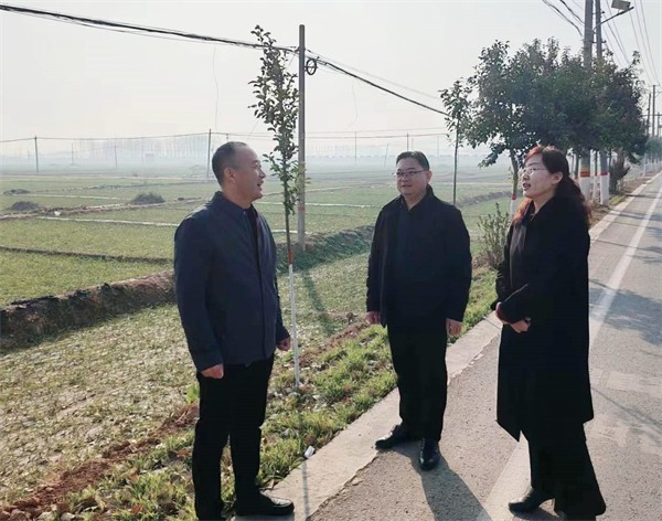 W020231219487186648499