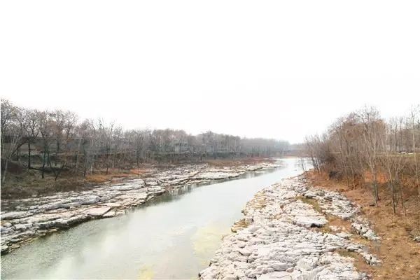 W020231215571620858168