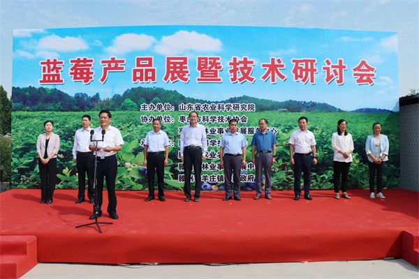 W020231229339903533224