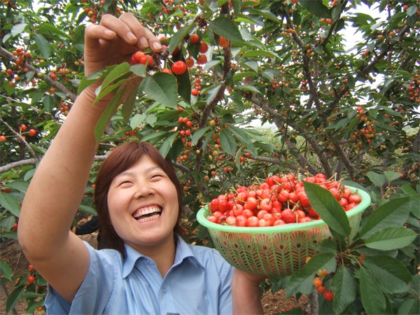 W020231229339903481051