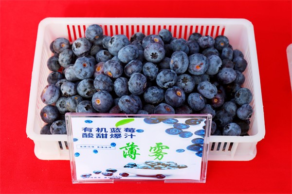 W020231229339903447182