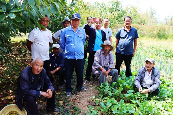 W020231229339903555426