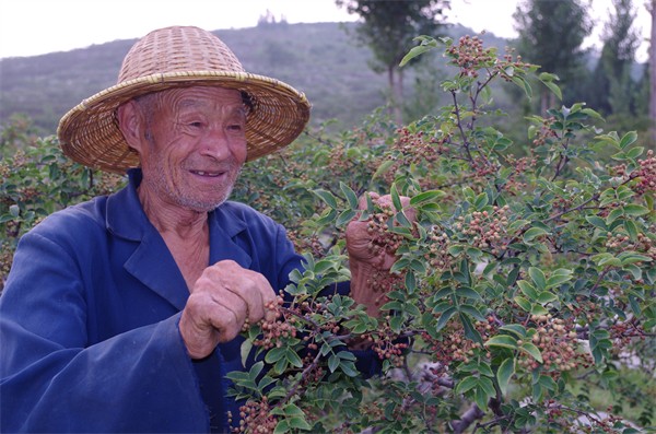 W020231229339903506399