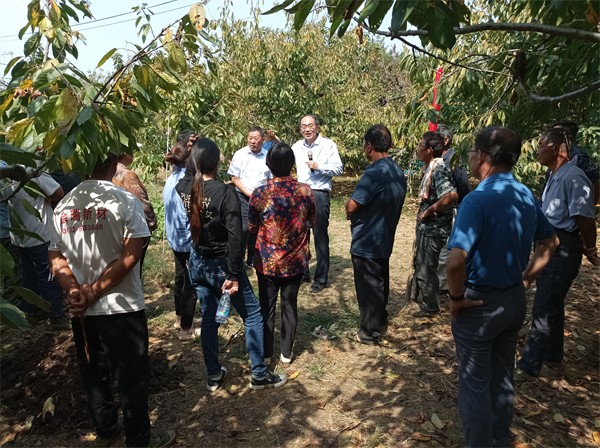 W020231229339903546697