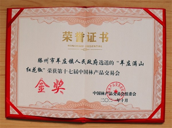 W020231229339903574949