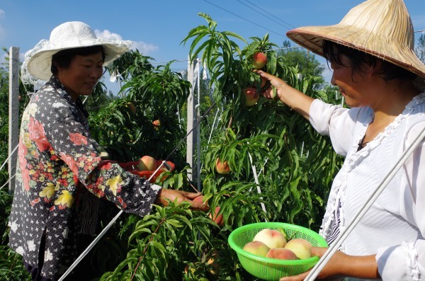 W020231230490677329793