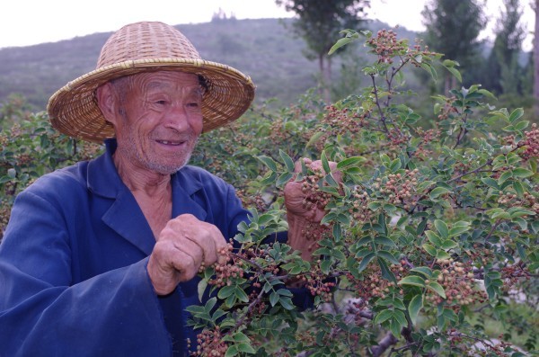 W020231230490677318407