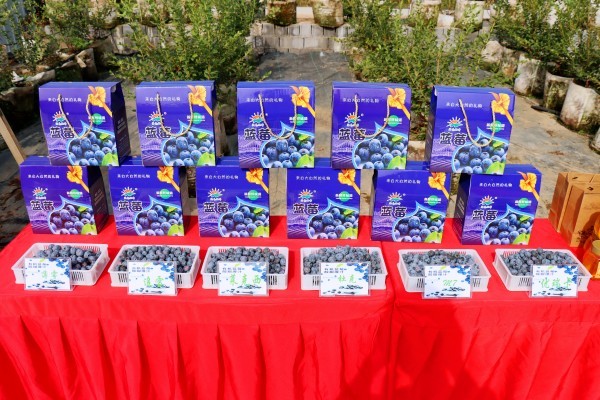 W020231230490677338220