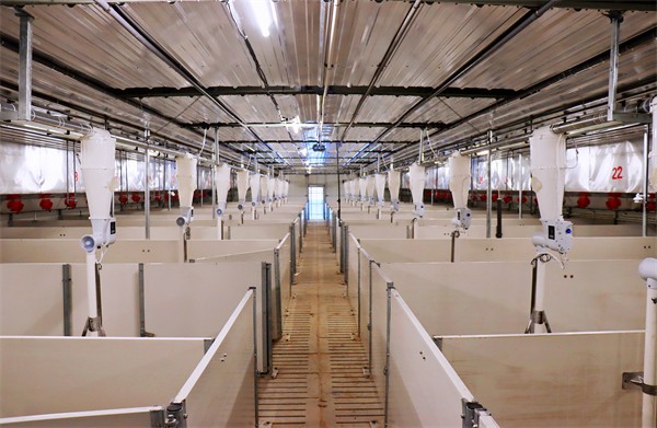 W020240119314315012345