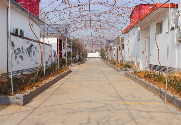 W020240112589225485501