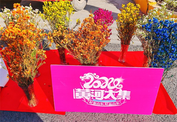 W020240123536185862224