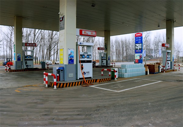 W020240131516533999639