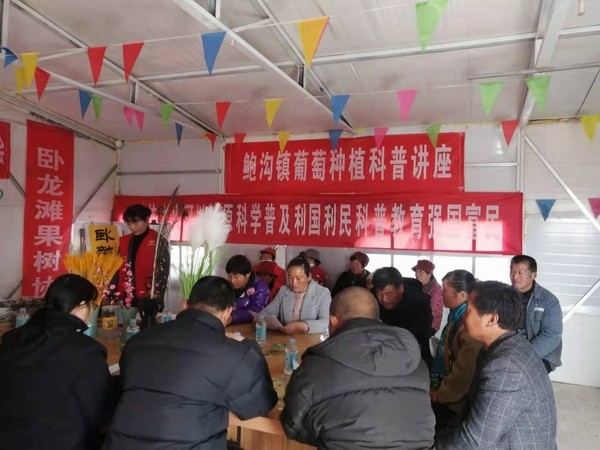 调整大小