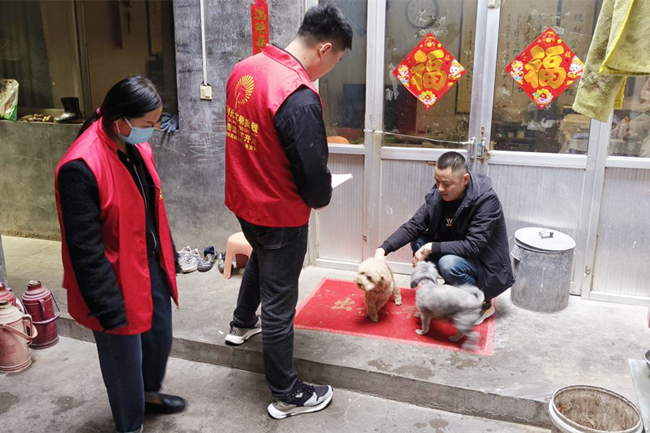 图片3_副本