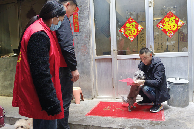 图片2_副本