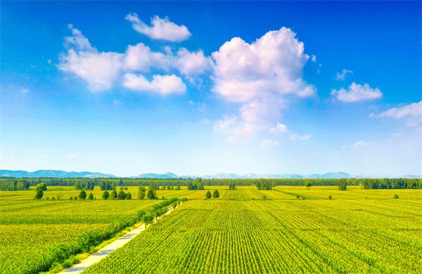 W020240417558195741150