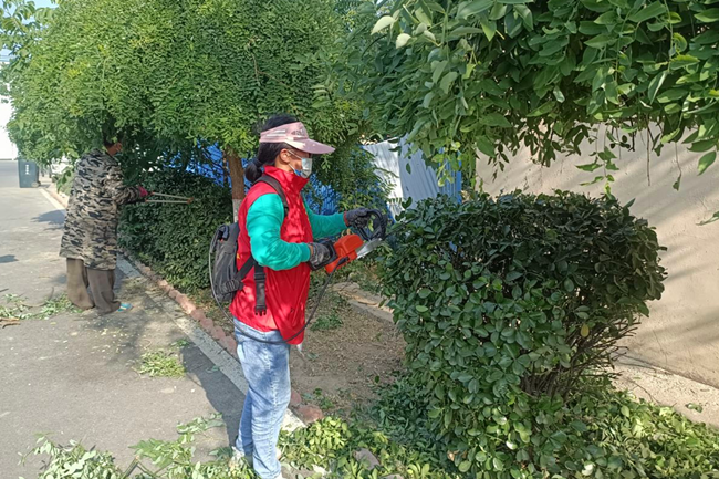 图片3_副本