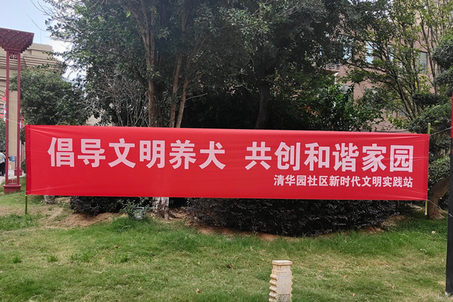 图片1_副本