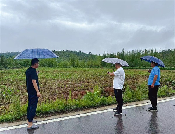 W020240708464448508239