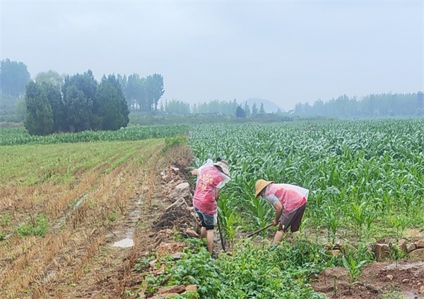 W020240708368362098791