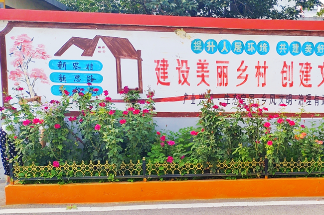 图片1_副本