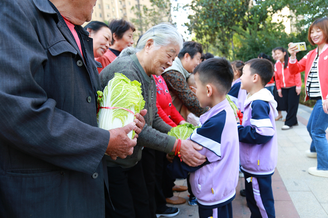 图片3