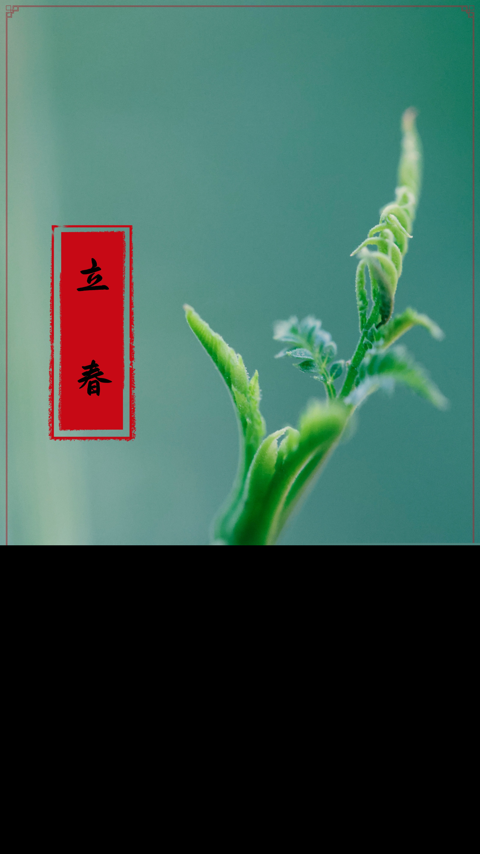 3G2A1348_副本_副本