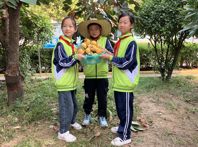 微信图片_20241022151553