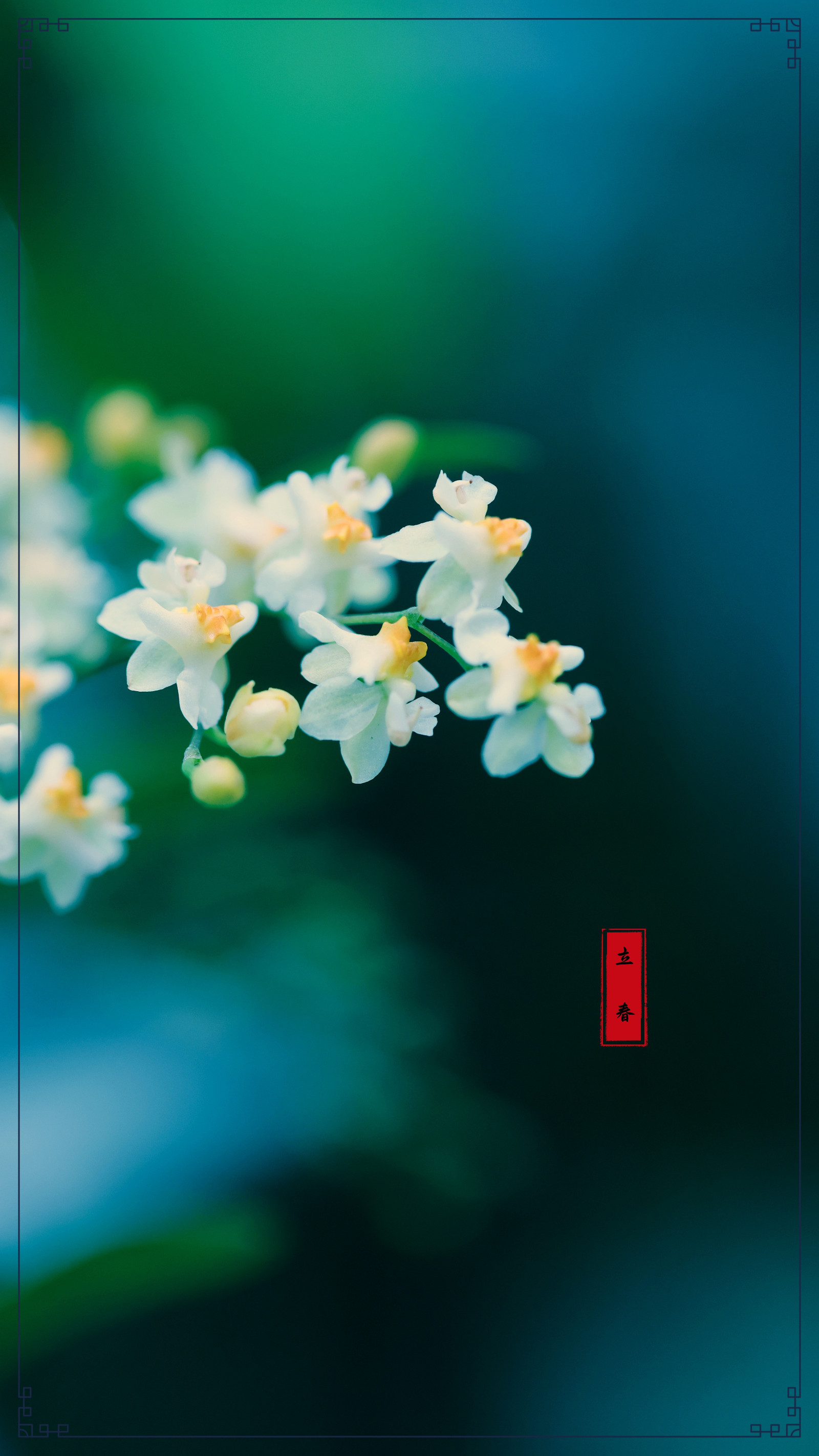 3G2A1397_副本_副本