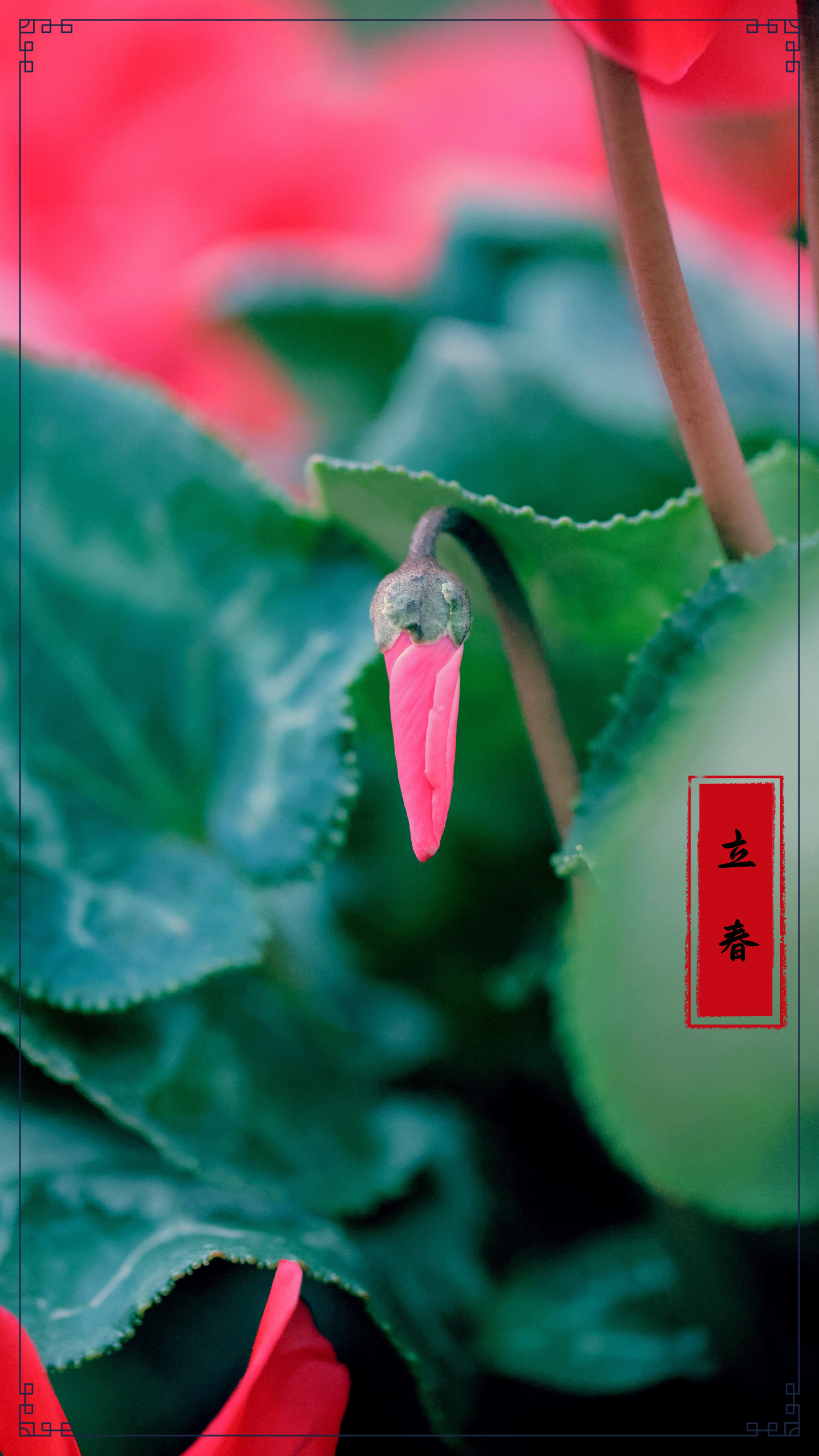 3G2A1437_副本_副本